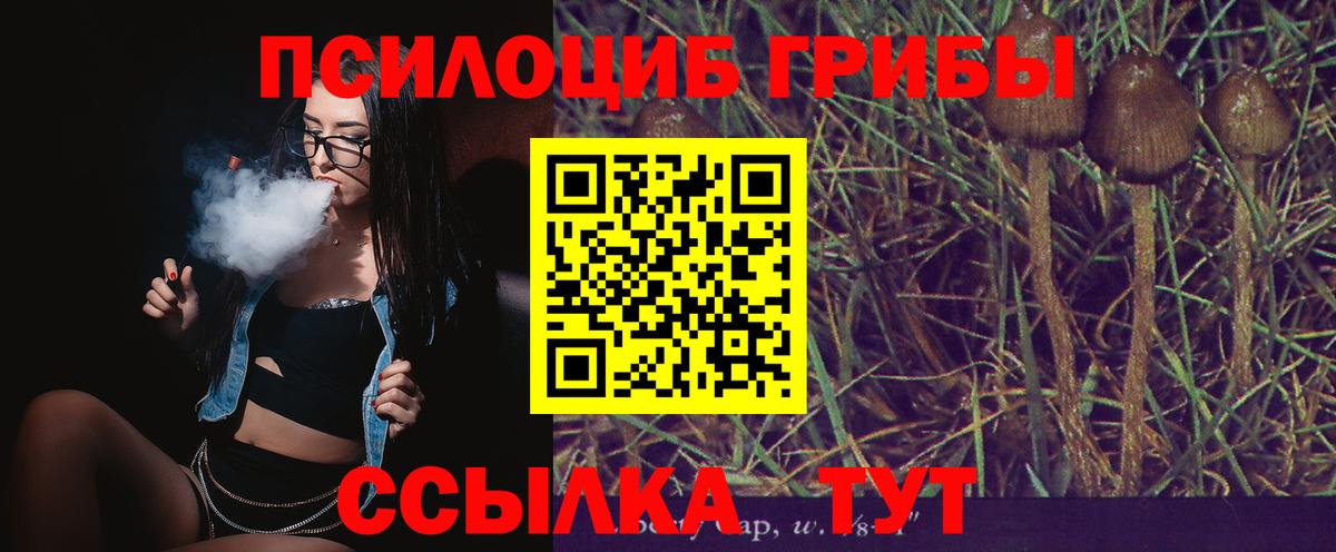 Галлюциногенные грибы Cubensis Шадринск